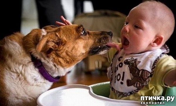 ���� 9: ����� �������, ������� �������, ��� ����� ���������� �������)))