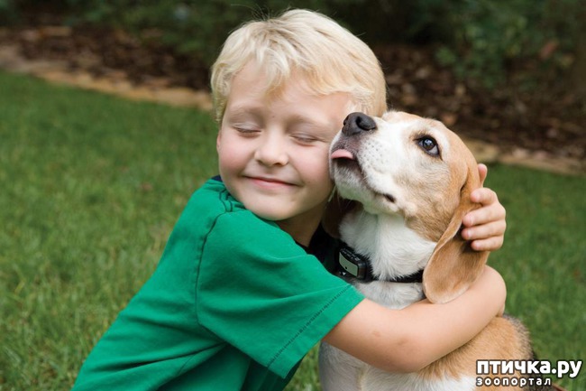 ���� 10: ����� �������, ������� �������, ��� ����� ���������� �������)))