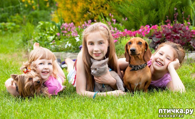 ���� 11: ����� �������, ������� �������, ��� ����� ���������� �������)))