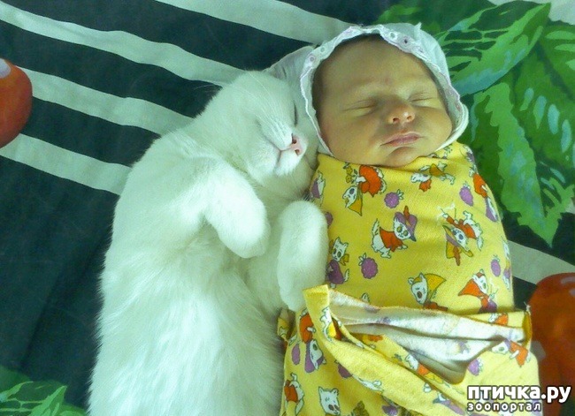 ���� 15: ����� �������, ������� �������, ��� ����� ���������� �������)))