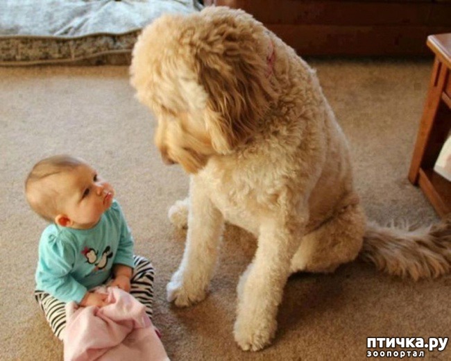 ���� 16: ����� �������, ������� �������, ��� ����� ���������� �������)))