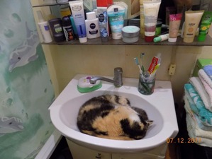 ����: ���� � ����� �����������!