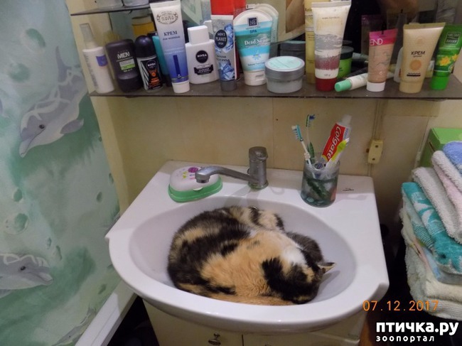 ���� 1: ���� � ����� �����������!