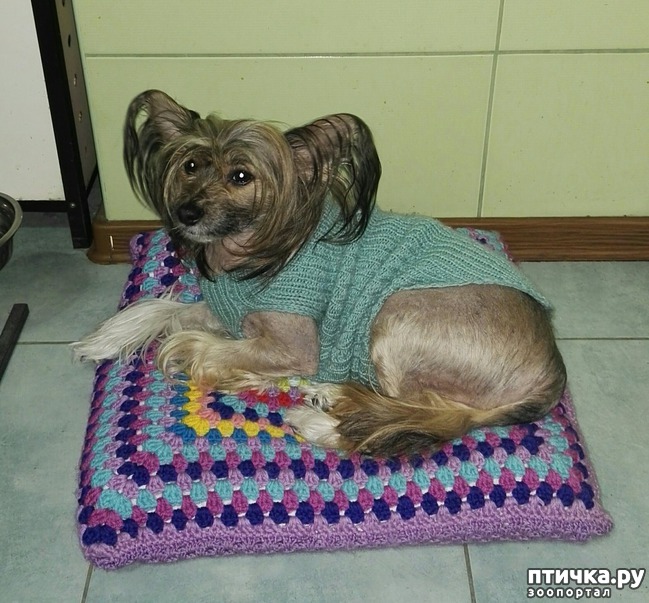 ���� 1: ��� ��������� ��� ���� �������.