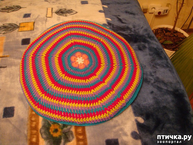 ���� 3: ��� ��������� ��� ���� �������.