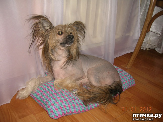 ���� 6: ��� ��������� ��� ���� �������.