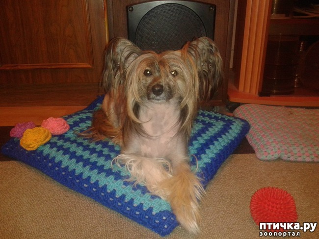 ���� 7: ��� ��������� ��� ���� �������.