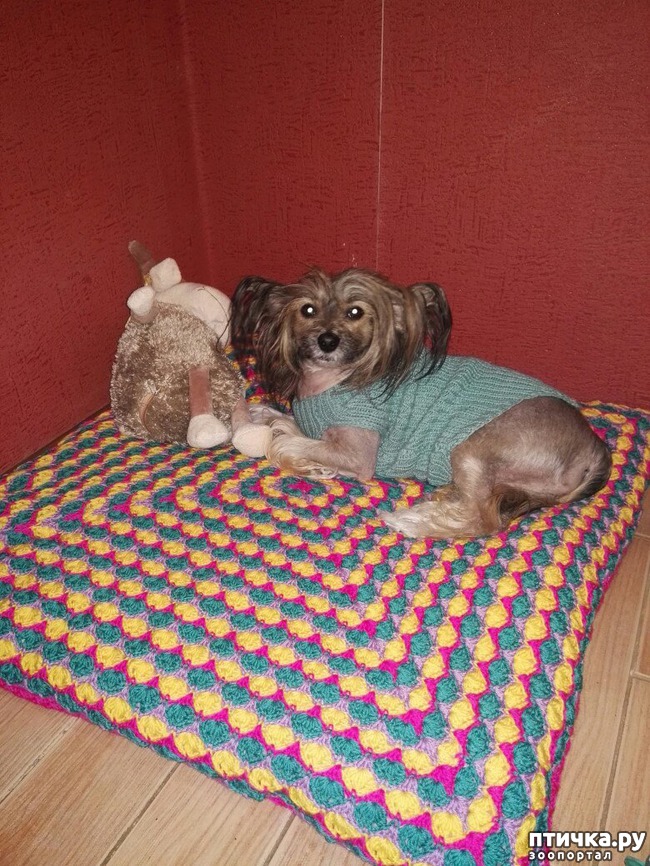 ���� 8: ��� ��������� ��� ���� �������.