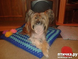 ����: ��� ��������� ��� ���� �������.