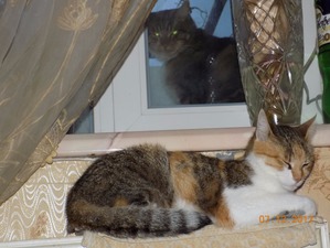 ����: �������� �� �����...