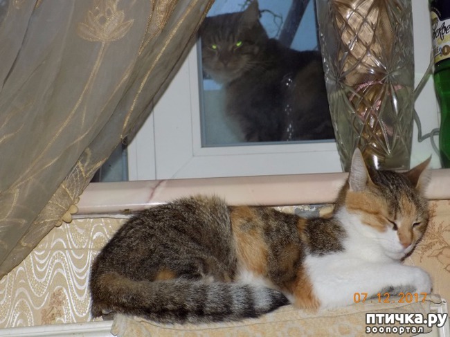 ���� 1: �������� �� �����...