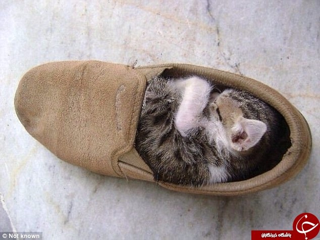 ���� 5: ����� � �����. ���������!!!