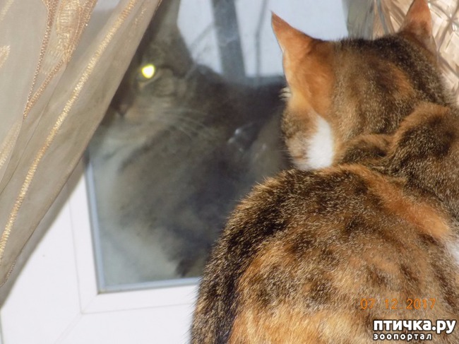 ���� 2: �������� �� �����...