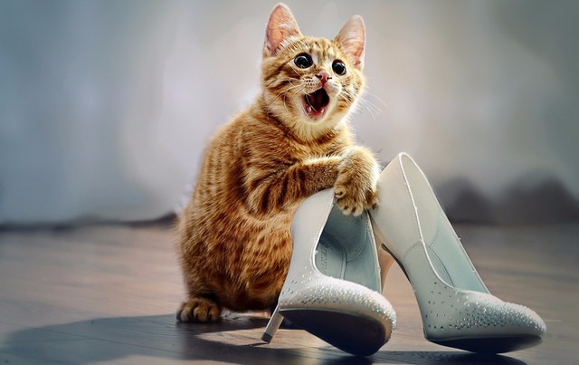 ���� 5: ����� � �����. ���������!!! ����� 2