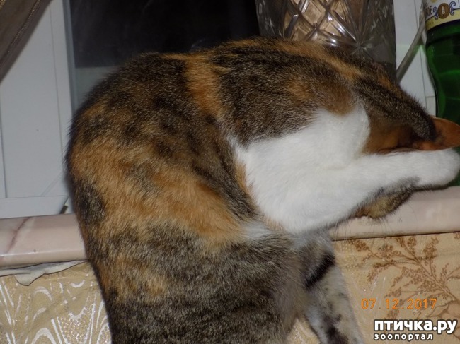 ���� 3: �������� �� �����...