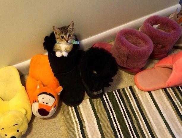 ���� 6: ����� � �����. ���������!!!