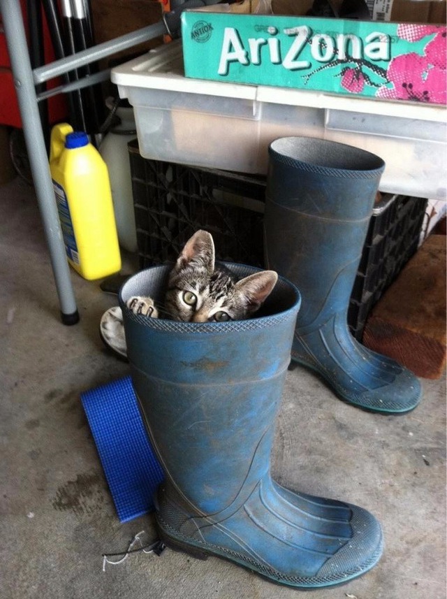 ���� 7: ����� � �����. ���������!!!