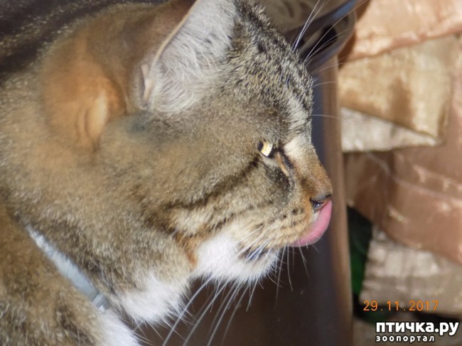 ���� 4: �������� �� �����...