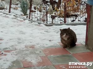 ����: ����� �����