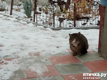 ����: ����� �����