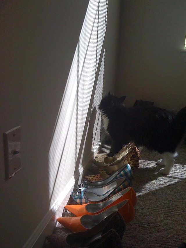 ���� 2: ����� � �����. ���������!!!