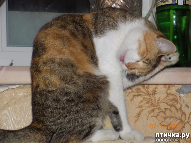 ���� 5: �������� �� �����...