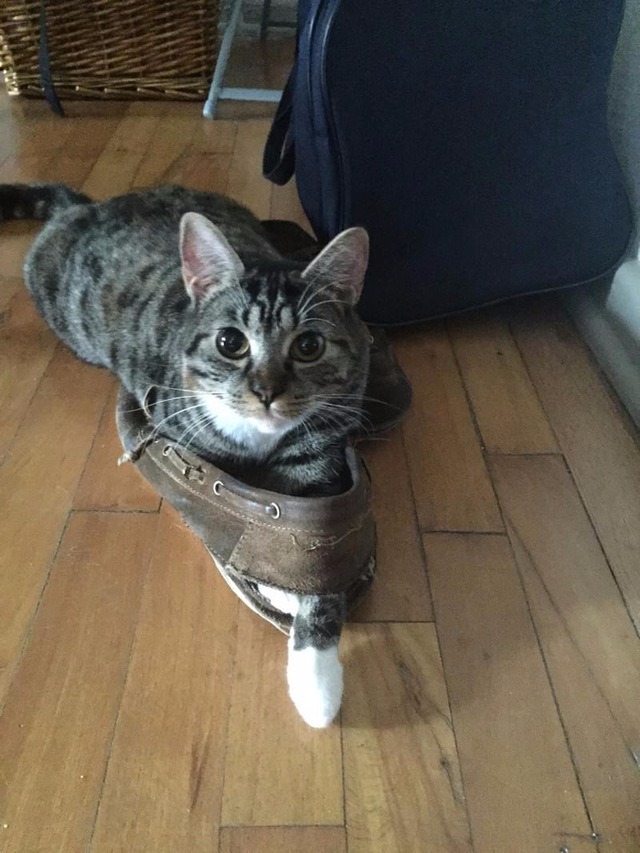 ���� 9: ����� � �����. ���������!!!