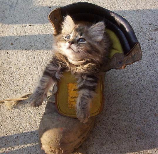 ���� 10: ����� � �����. ���������!!!