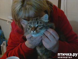 ����: � ������ � �����!!!