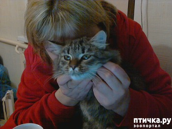 фотография: И смешно и жалко!!! фото: И смешно и жалко!!!