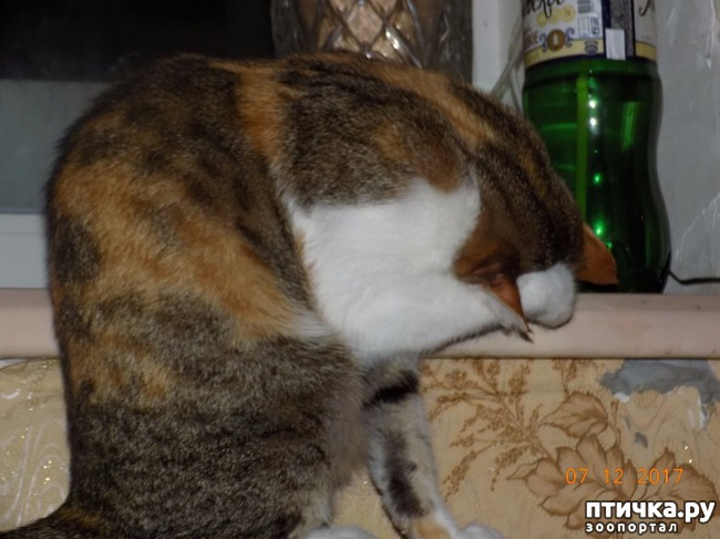 ���� 7: �������� �� �����...