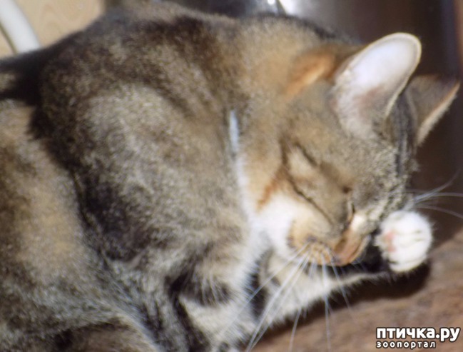 ���� 8: �������� �� �����...