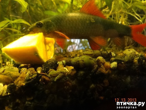 ���� 5: ���������������