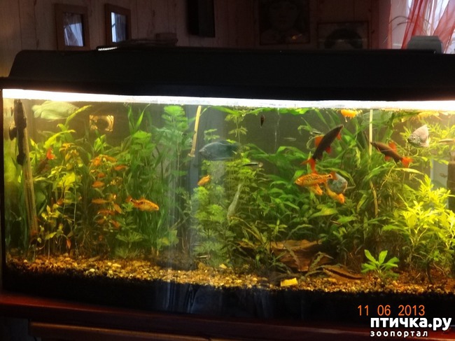 ���� 2: ���������������