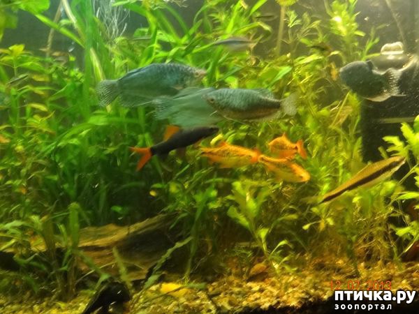 ���� 3: ���������������