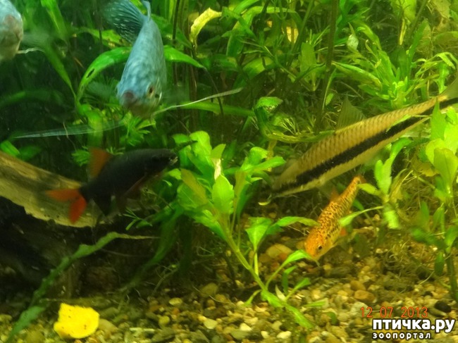 ���� 6: ���������������