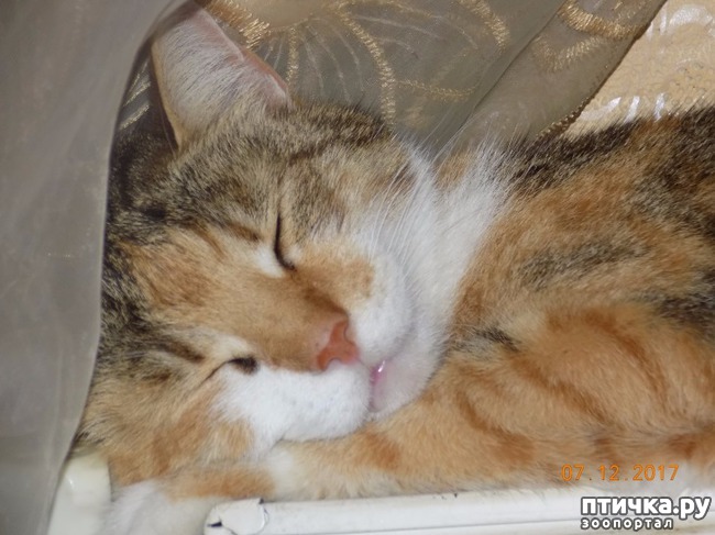 ���� 9: �������� �� �����...