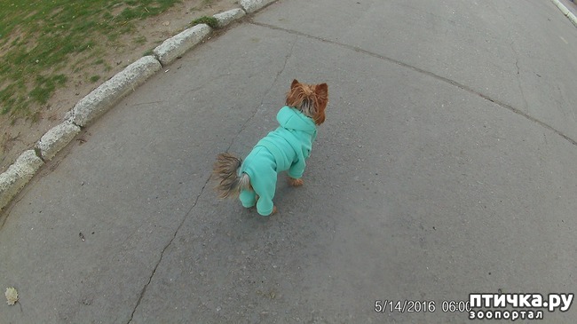 ���� 1: ����������))