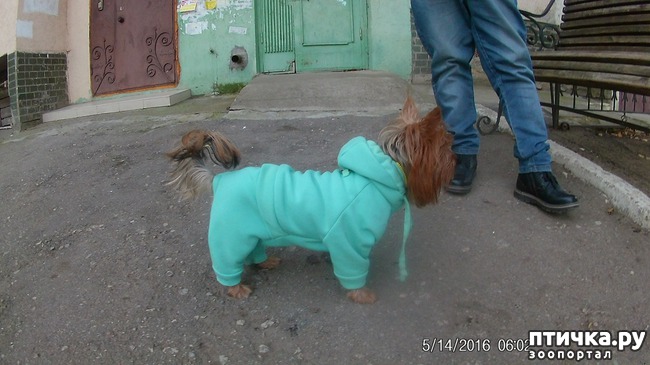 ���� 2: ����������))