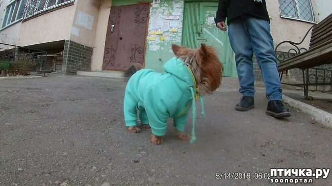 ���� 3: ����������))