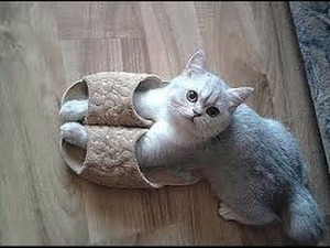 ����: ����� � �����. ���������!!! ����� 2