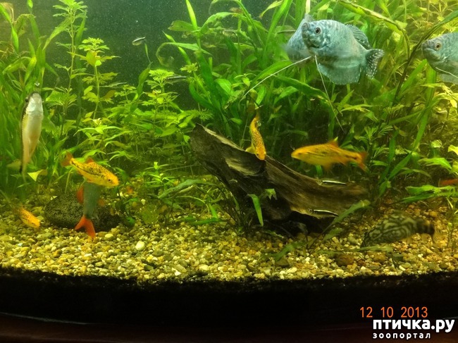 ���� 7: ���������������