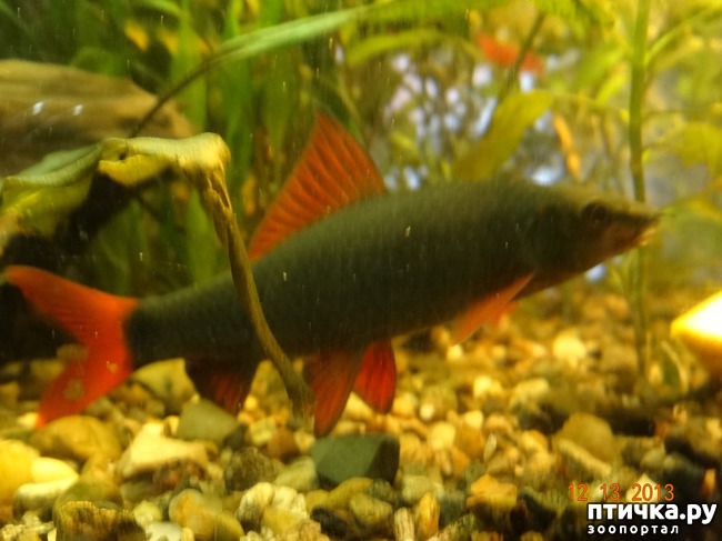 ���� 4: ���������������