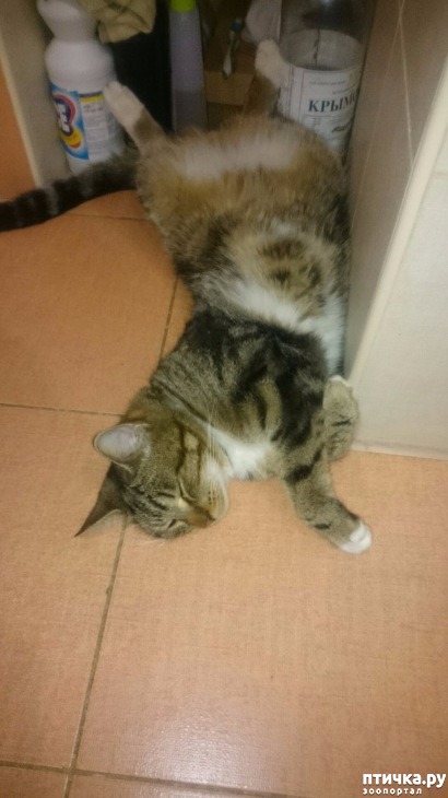 ���� 10: �������� �� �����...