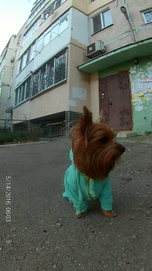 ����: ����������))