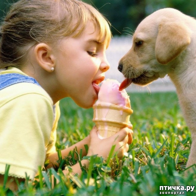 ���� 18: ����� �������, ������� �������, ��� ����� ���������� �������)))