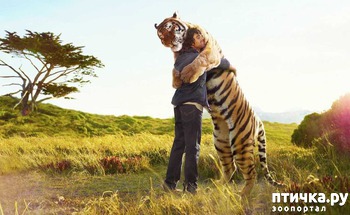 ����: ����������������� ����� �������� ��������