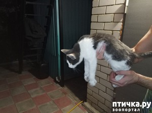 ����: �����������