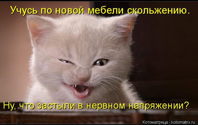 ���� 13: ����������� � �������: ��� ����� ��� �����!