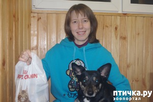 ����: ������� ������� ��� ������ �� �������� Animals � ������ �������